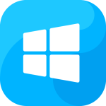 Windows License
